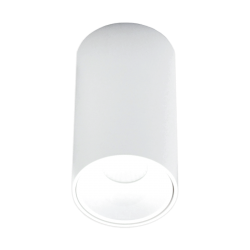 10W balts LED diožu...
